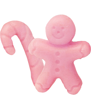 5030.211_lebkuchenmann.png