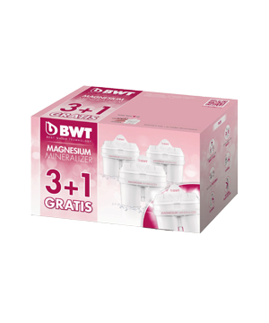 BWT Filterkartuschen oval 4 Stück