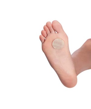 Epitact Anti-Warzen-Pad